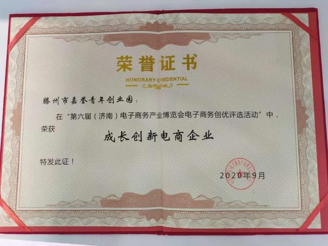 滕州兩企亮相第六屆電商博覽會(huì)，捧回“成長(zhǎng)創(chuàng)新電商企業(yè)”大獎(jiǎng)